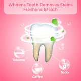 Natural Charcoal Teeth Whitening Powder